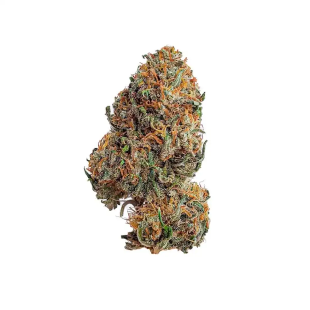 O.G. Kush 19% THC Indica 75/25 7-9 Tyg Royal Queen Seeds
