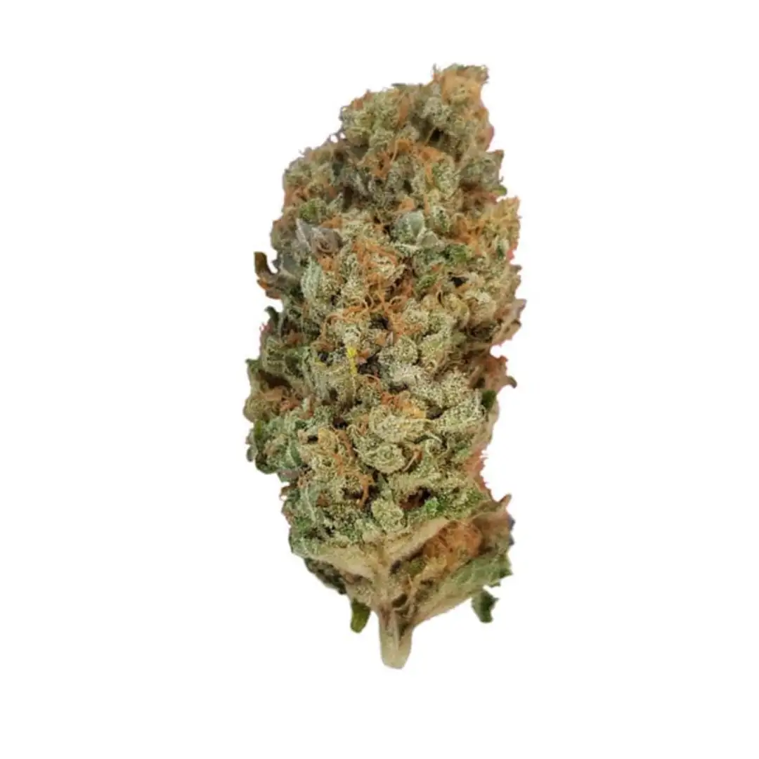 Special Queen 1 18% THC 50% Sativa 50% Indica 8-9 Tyg Royal Queen Seeds