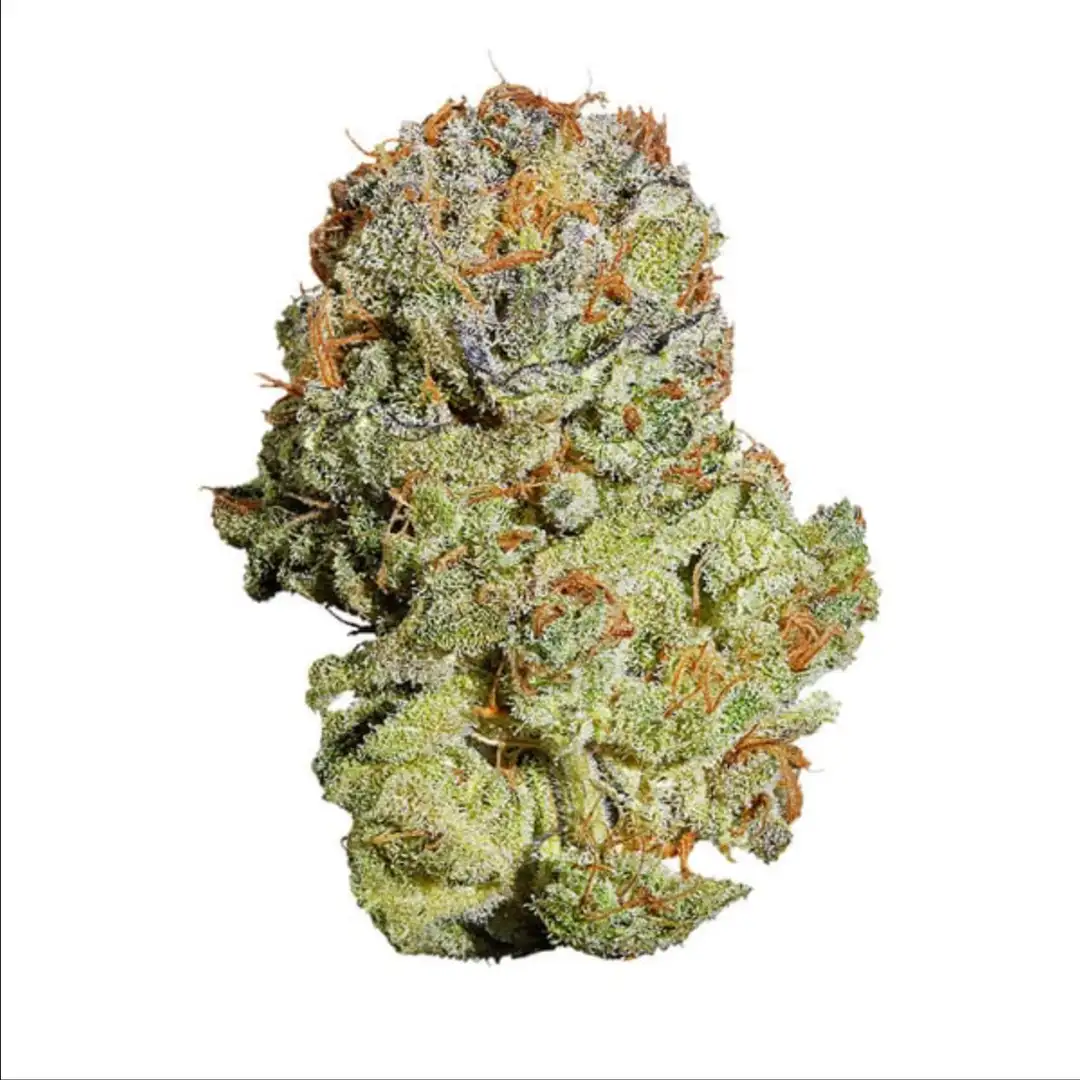 Fruit Spirit 18% THC 60% Sativa Feminizowane Royal Queen Seeds