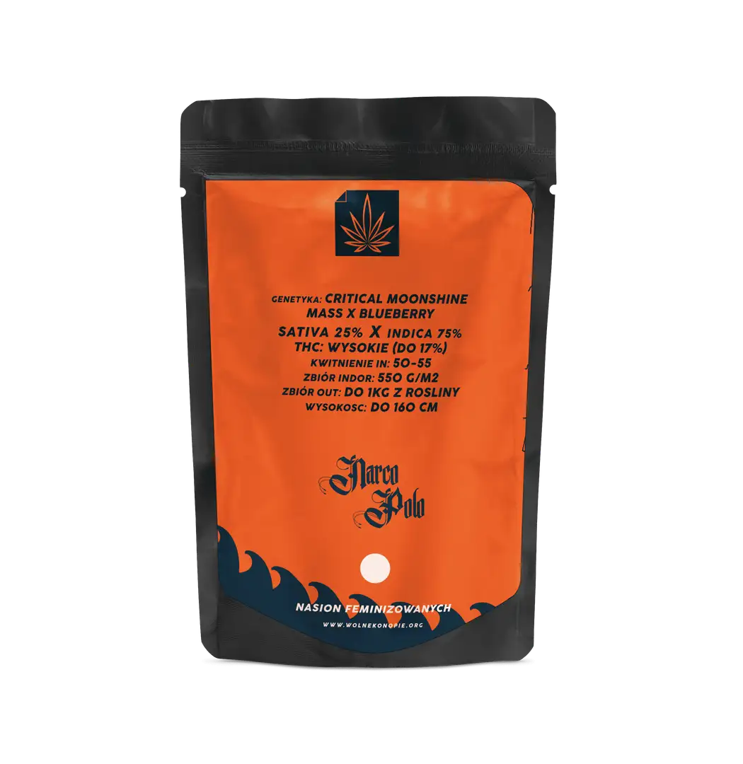 Narco Polo 1.0 – feminizowane nasiona konopi | Wolne Konopie
