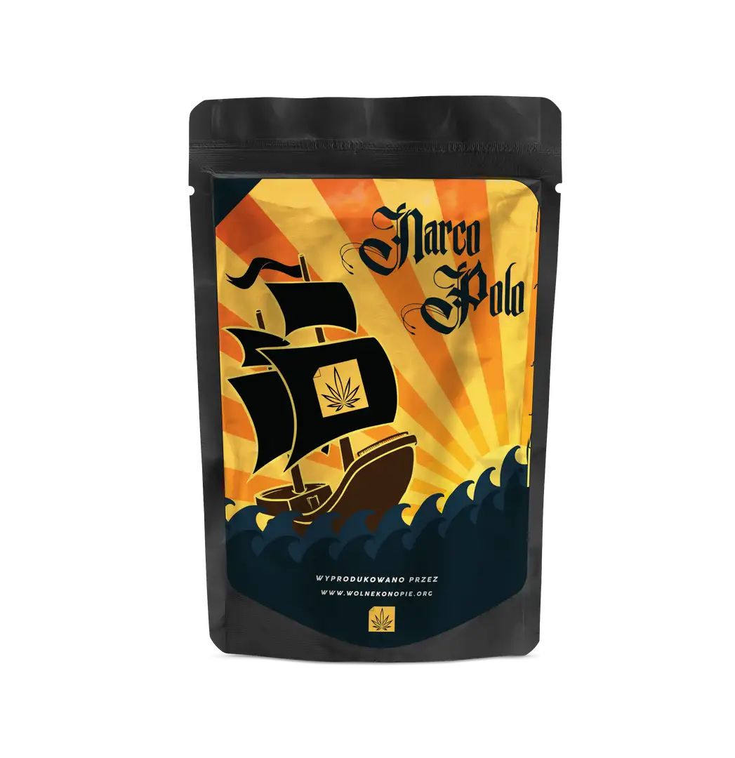 Narco Polo 1.0 – feminizowane nasiona konopi | Wolne Konopie
