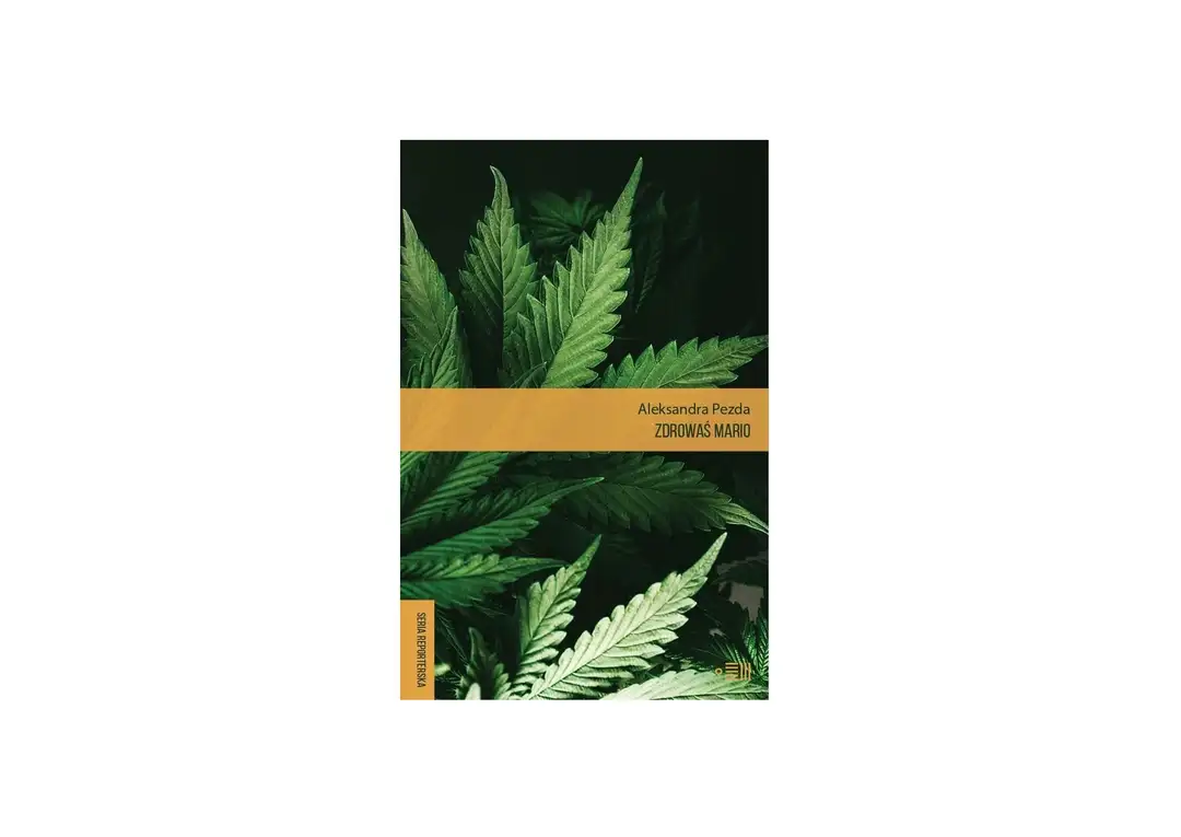 Książka Zdrowaś Mario – Aleksandra Pezda