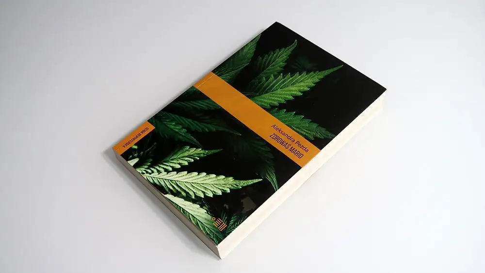 Książka Zdrowaś Mario – Aleksandra Pezda