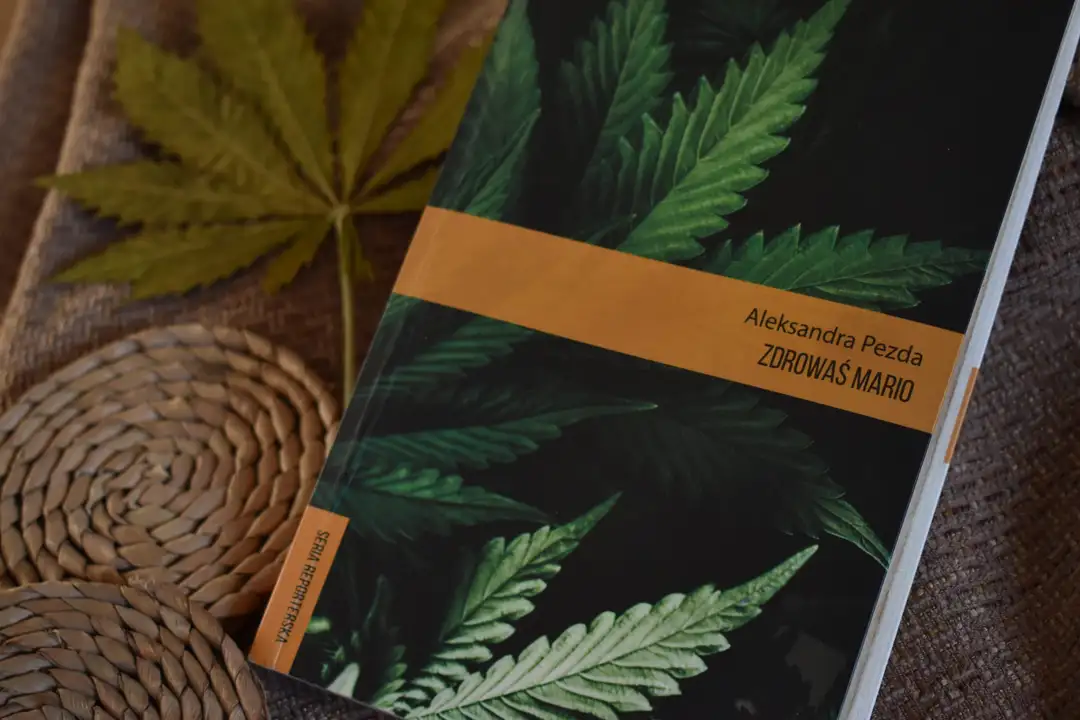 Książka Zdrowaś Mario – Aleksandra Pezda