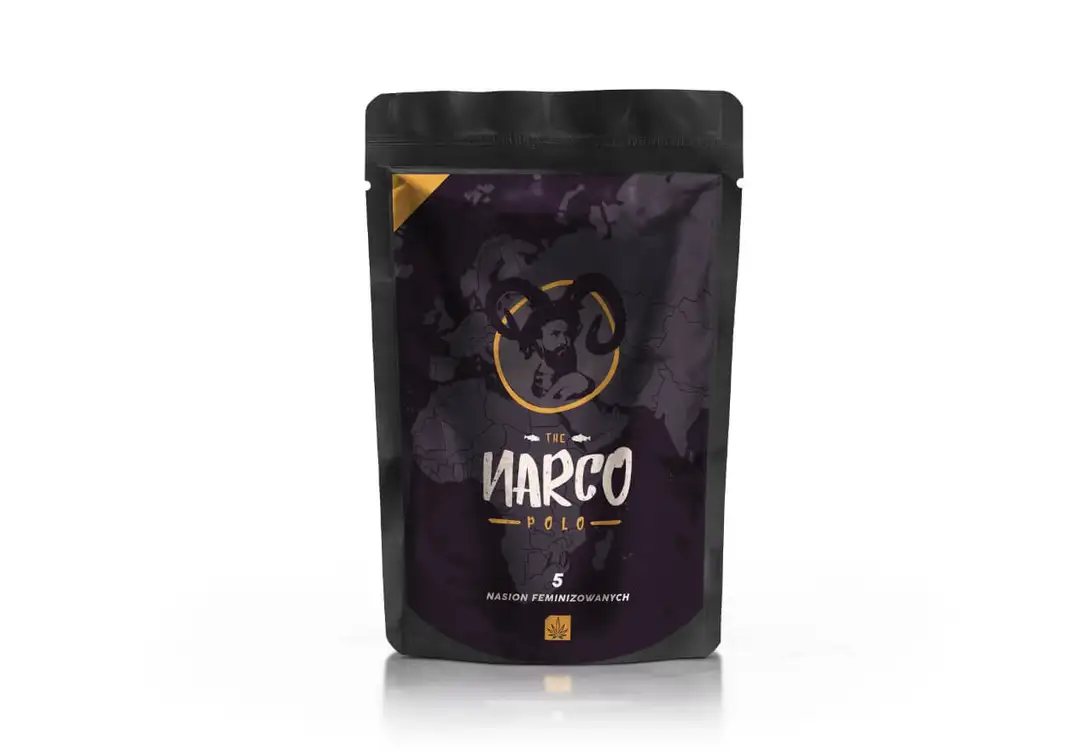 Kritikal Narco Polo 2.0 – feminizowane nasiona konopi