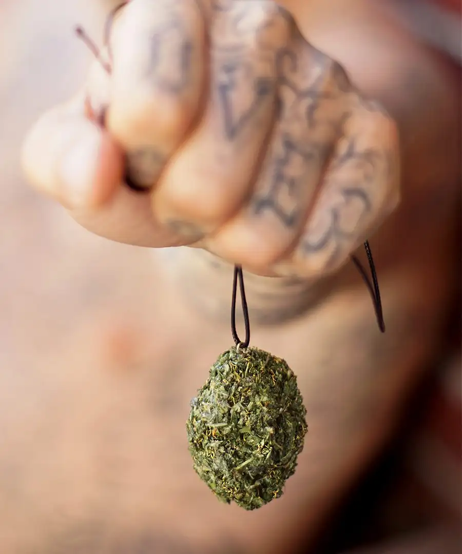 Naszyjnik Serce Sativy