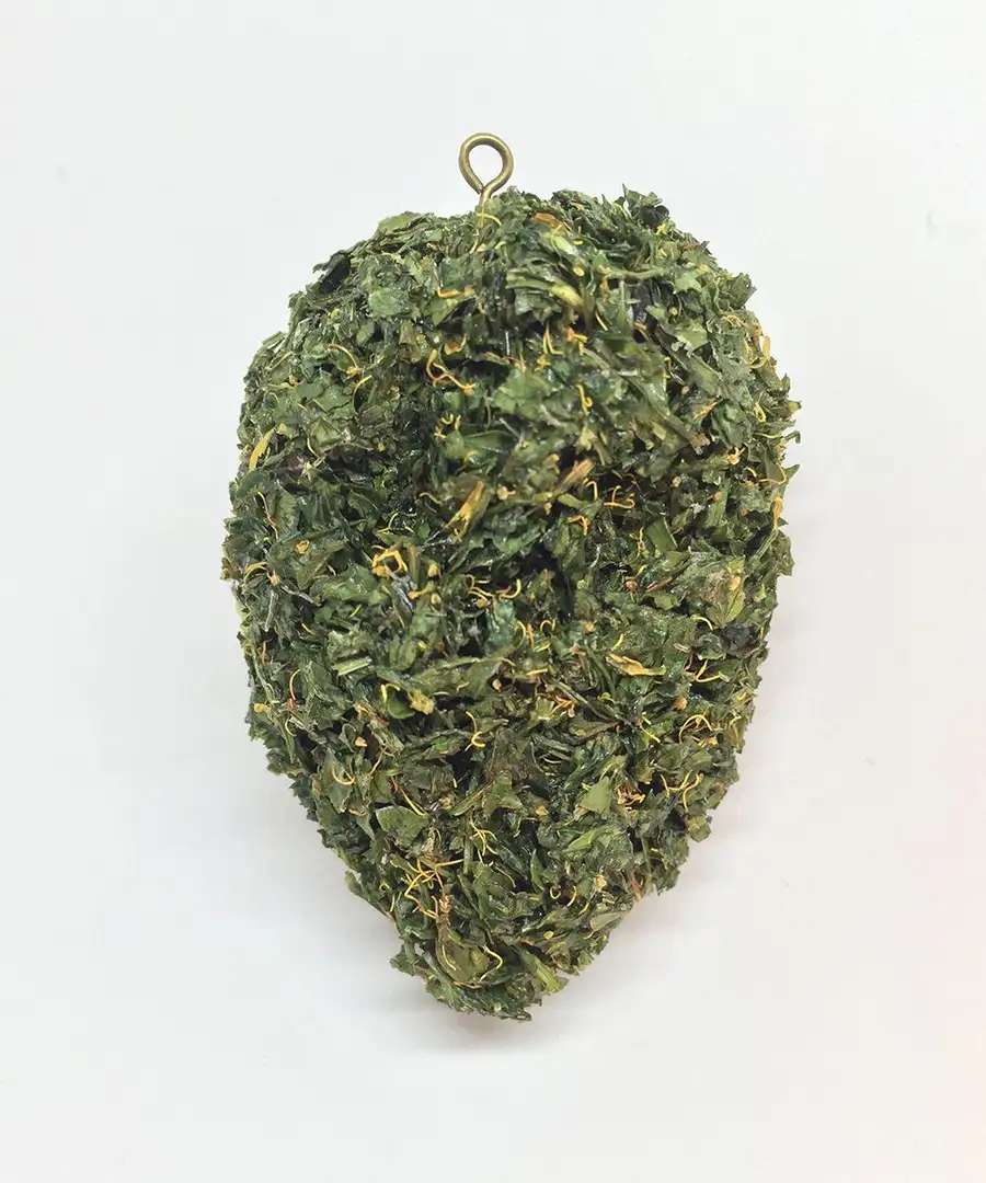 Naszyjnik Serce Sativy