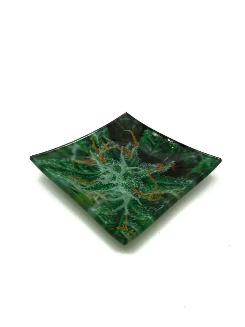 V Syndicate Szklana popielniczka AK47