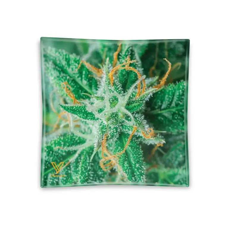 V Syndicate Szklana popielniczka AK47