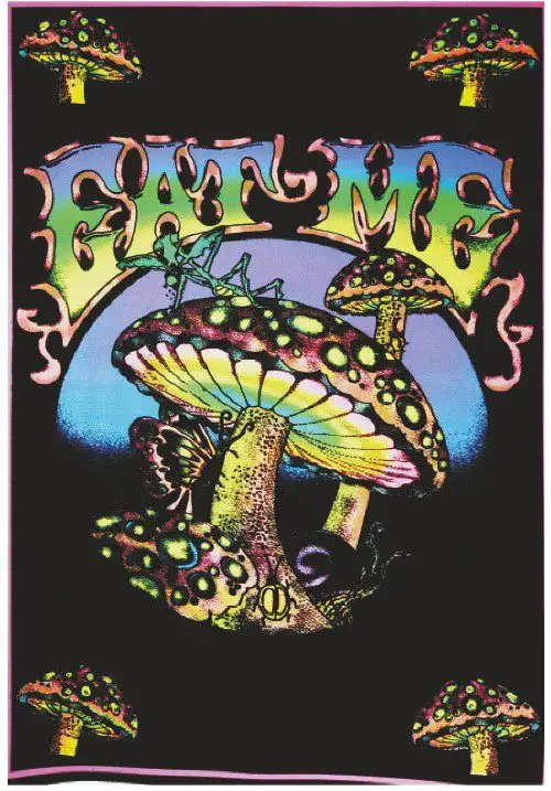 Dekoracja na ścianę "Grzyby" UV