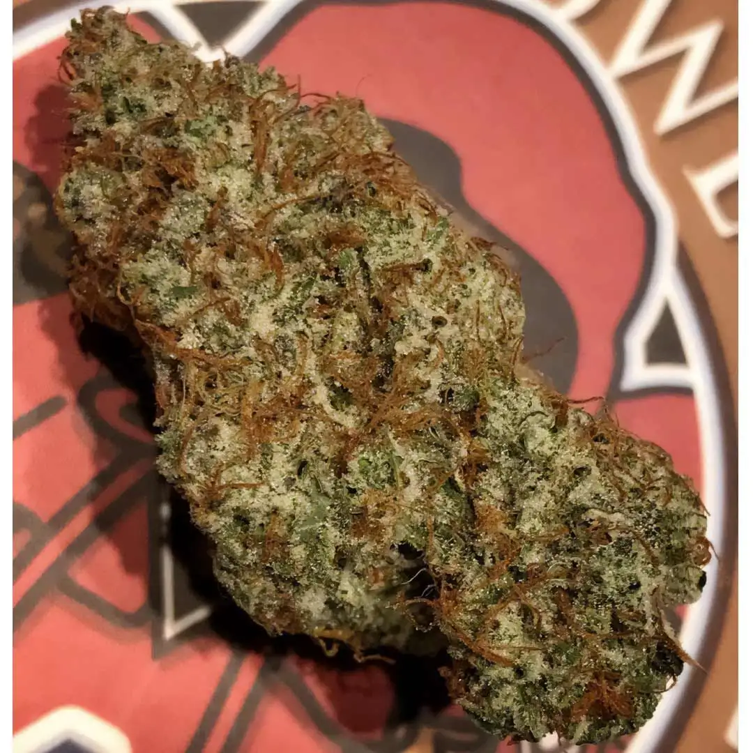 Spice Melange Auto (3 szt.)
