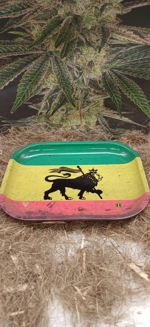 V-Syndicate Tacka do kręcenia Rasta Lion 18x14cm