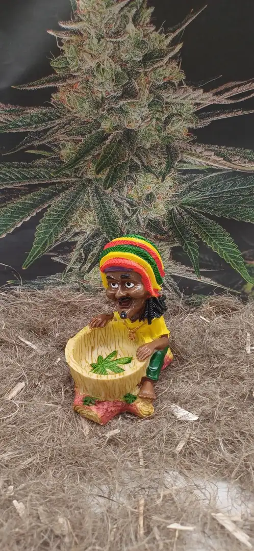 Popielniczka ceramiczna Rasta z miska