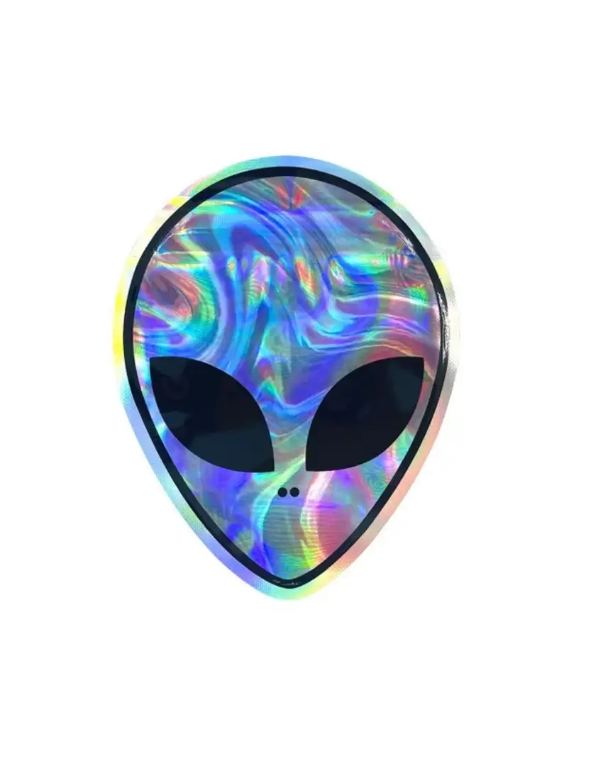 Saszetka do przechowywania suszu Mylar Alien wys. 12.5cm