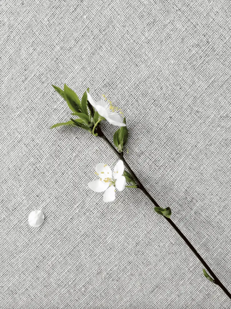 Tkanina bawełniano-konopna Płócienna 70% Bawełna 30% Konopie – Naturalna i Ekologiczna 1mb