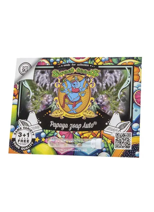 Papaya Zoap Automatycznie Kwitnąca Hybryda o Tropikalnym Aromacie i Wysokiej Zawartości THC