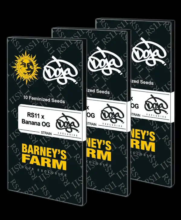 RS11 x Banana OG 70% Indica THC 25-31% Barney's Farm x Doja