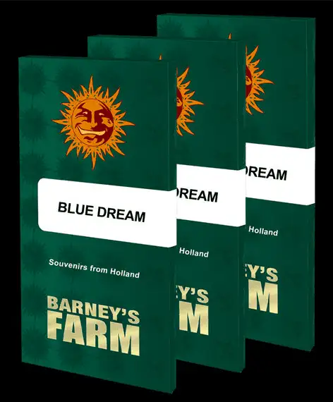 Blue Dream Feminizowane Nasiona Konopi Sativa 60% THC 26% Barney's Farm