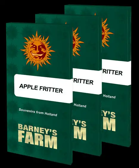 Barney's Farm Apple Fritter Wyjątkowa Hybryda 50/50 THC 30%