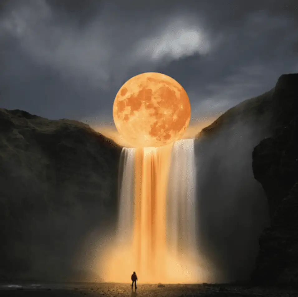 Fanta Sea RBX – Fantazja w pomarańczowym aromacie - 5 nasion